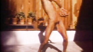 (Vintage) RIP (Vintage)S SEX RATED HOME MOVIES Swingers Bill Eld Del Denny Dick Trask Erron Long John